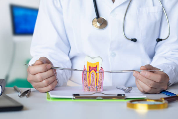 Best Walk-In Emergency Dental Services in Lillington, NC